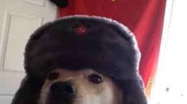 Timeline: The Cold War