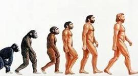 Timeline:  Homínidos