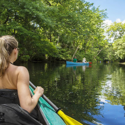 Timeline: El ecoturismo