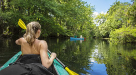 Timeline: El ecoturismo