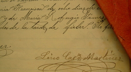 Timeline: DON LINO CARMEN MARTINEZ LÓPEZ