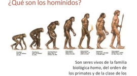 Timeline: Los homínidos
