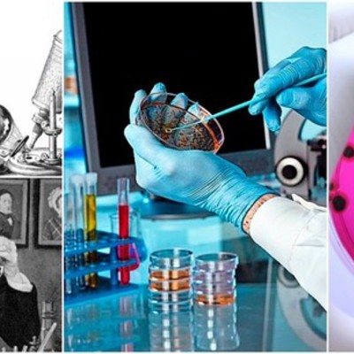 Timeline: Historia de la Microbiología