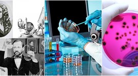 Timeline: Historia de la Microbiología