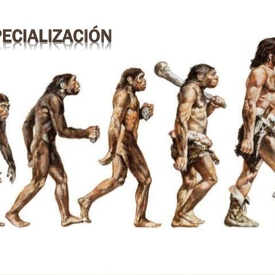 Timeline: La hominización