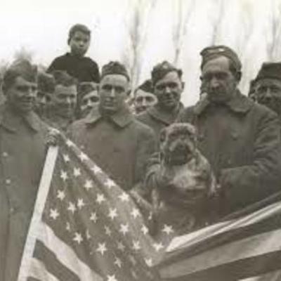 Timeline: World War I