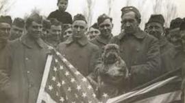 Timeline: World War I