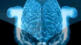 Timeline: historia de la psicologia