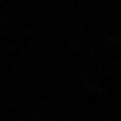 Timeline: Los Austrias