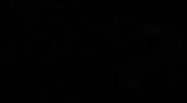 Timeline: Los Austrias