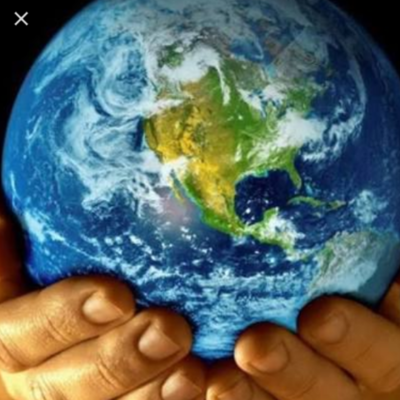 Timeline: Antecedentes de la Ecología