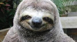 Timeline: Жизнь Станислава