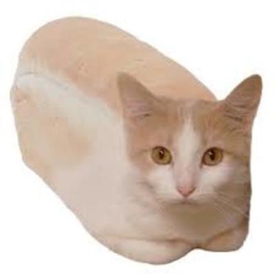 Timeline: Niklaus Mikaelson