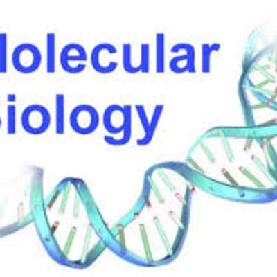 Timeline: Η Ιστορία της Μοριακής Βιολογίας