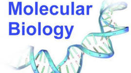 Timeline: Η Ιστορία της Μοριακής Βιολογίας