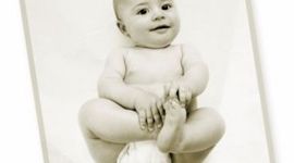 Timeline: 6 Months- 1 Year