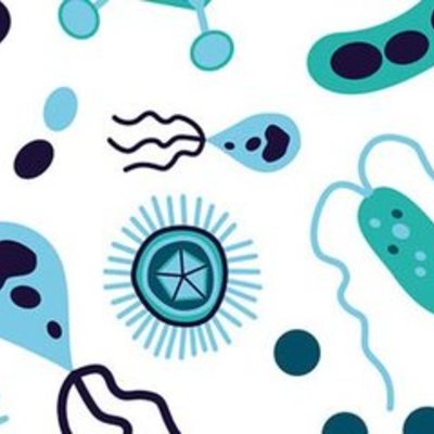 Timeline: Historia de la Parasitología