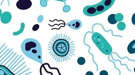 Timeline: Historia de la Parasitología