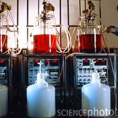 Timeline: Historia de la Microbiología Industrial