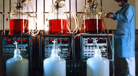 Timeline: Historia de la Microbiología Industrial