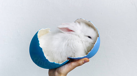 Timeline: How Easter Was Established – Easter in Historical Evolution