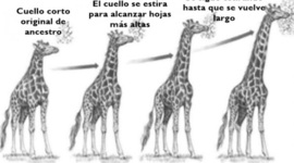 Timeline: Historia De Las Ideas Evolucionistas