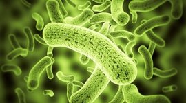 Timeline: Historia de la parasitología