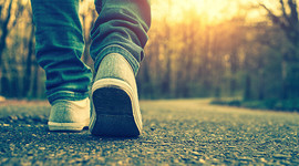 Timeline: FORMACION HUMANA Y SOCIAL