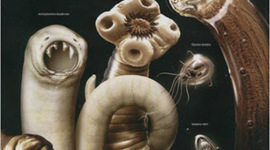 Timeline: Historia de la Parasitología