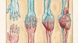 Timeline: Historia de la medicina