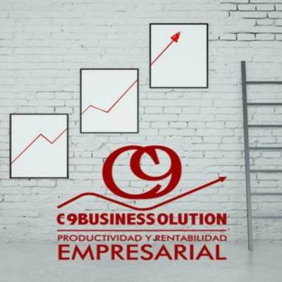 Timeline: C9Businessolution