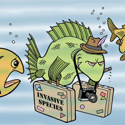 Timeline: Acuerdos y Tratados Internacionales