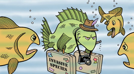 Timeline: Acuerdos y Tratados Internacionales