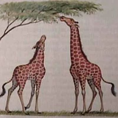 Timeline: Linea de tiempo biologia 2018