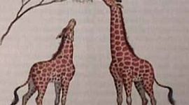 Timeline: Linea de tiempo biologia 2018