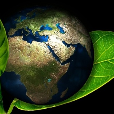 Timeline: *ANTECEDENTES DE LA ECOLOGÍA*