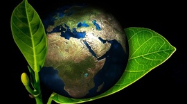 Timeline: *ANTECEDENTES DE LA ECOLOGÍA*