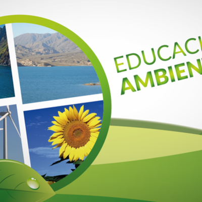 Timeline: Desarrollo de la educación ambiental