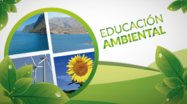 Timeline: Desarrollo de la educación ambiental