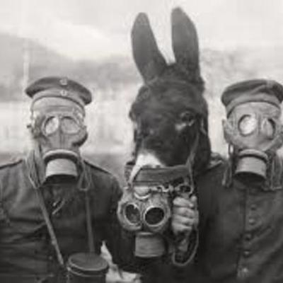 Timeline: La Primera Guerra Mundial