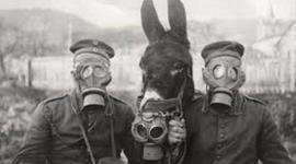 Timeline: La Primera Guerra Mundial