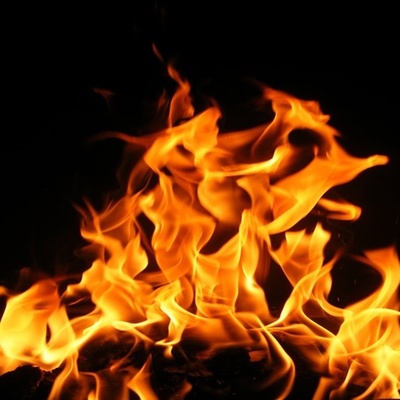 Timeline: la llama de la evolución