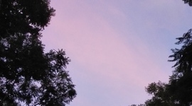 Timeline: Autobiografía María Alejandra Salamanca