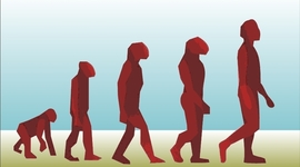 Timeline: Linea de tiempo