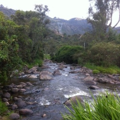 Timeline: PROBLEMATICA DEL RÍO TUNJUELITO