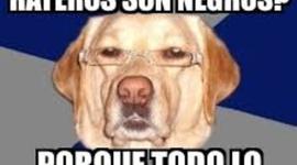 Timeline: hola que hace