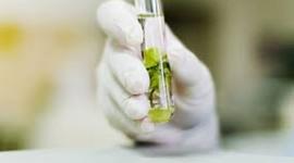Timeline: historia cultivo in vitro