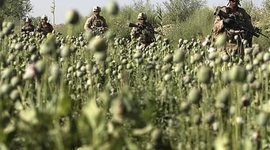 Timeline: Western Propaganda