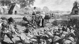 Timeline: 13 Colonies