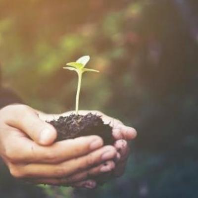 Timeline: Línea de tiempo, Proyecto de vida